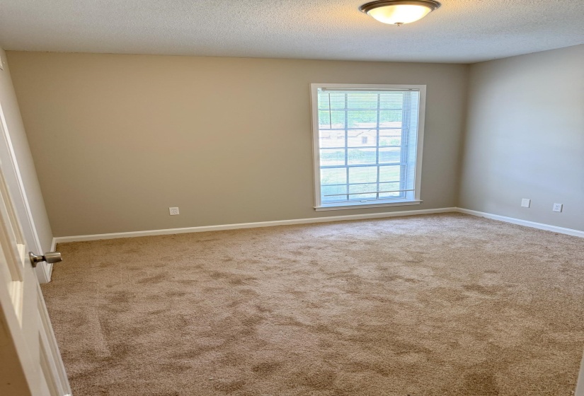 Unfurnished room with a textured ceiling and carpet flooring