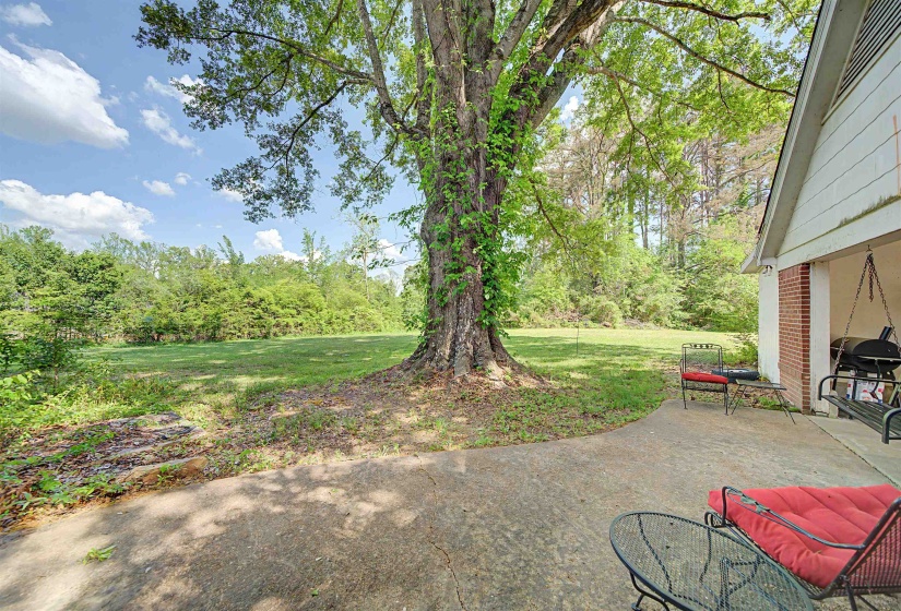 View of patio / terrace with grilling area