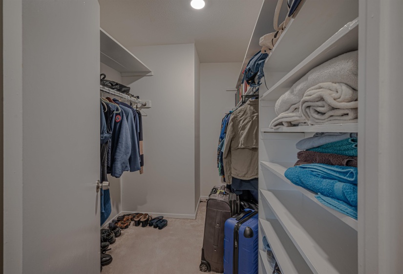 Spacious closet featuring light carpet