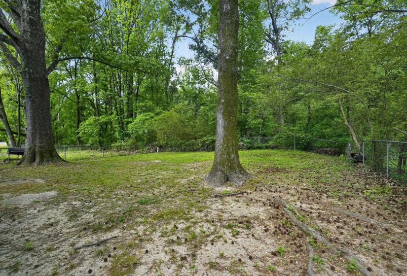 View of fenced backyard