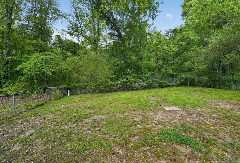 View of fenced backyard