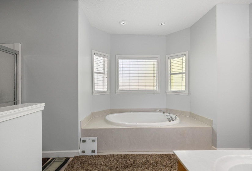 Bathroom featuring a garden tub, vanity, and healthy amount of natural light