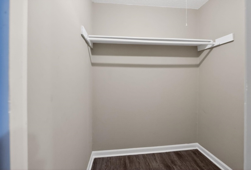 Walk in closet with dark wood finished floors