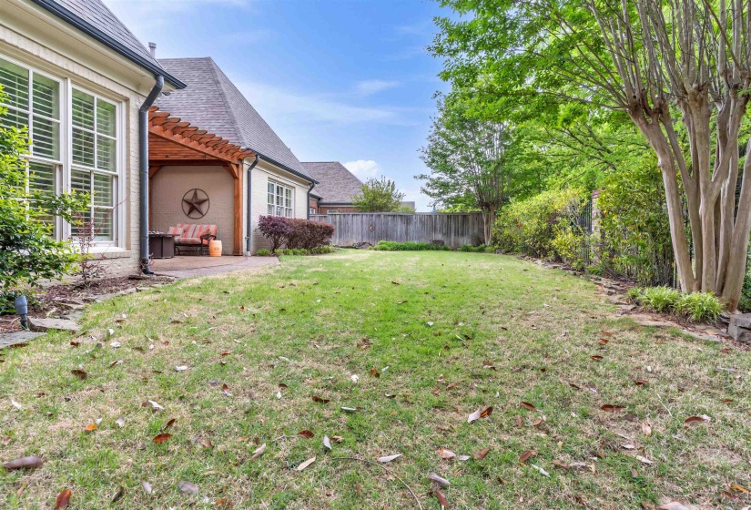 Generous lawn area with established greenery and mature trees
