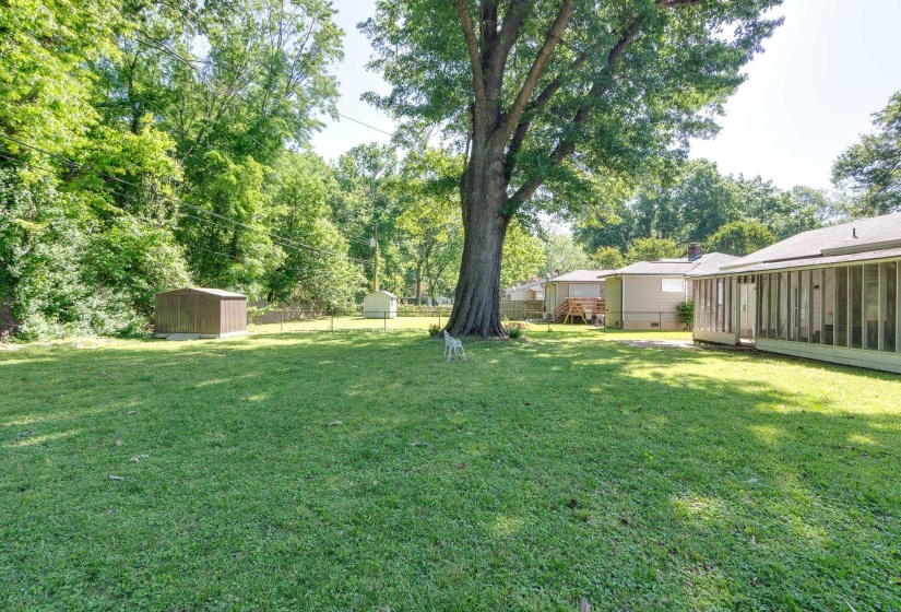 Spacious backyard featuring a large mature tree, manicured lawn, and a screened porch