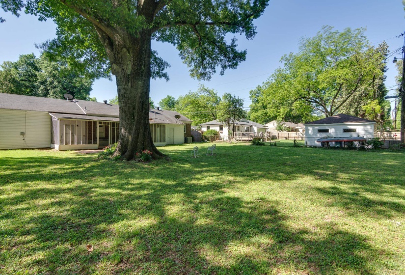 Expansive green lawn with a mature tree providing natural shade