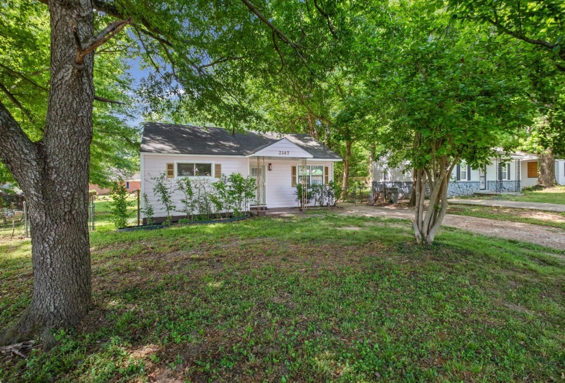 Single-story residence featuring white exterior siding, a dark roof, and light-colored window shutters