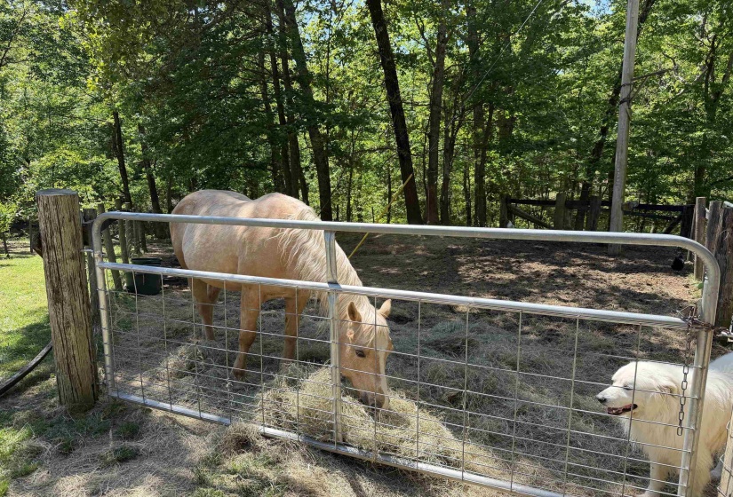 1212 ELVIN WEEKS RD, Bethel Springs, Tennessee 38315, 3 Bedrooms Bedrooms, 9 Rooms Rooms,2 BathroomsBathrooms,Residential,For Sale,ELVIN WEEKS,10219878