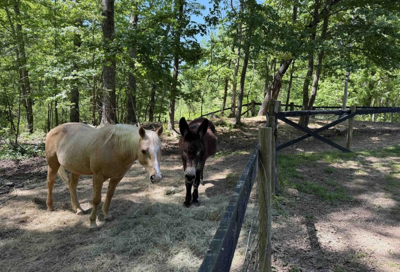 1212 ELVIN WEEKS RD, Bethel Springs, Tennessee 38315, 3 Bedrooms Bedrooms, 9 Rooms Rooms,2 BathroomsBathrooms,Residential,For Sale,ELVIN WEEKS,10219878