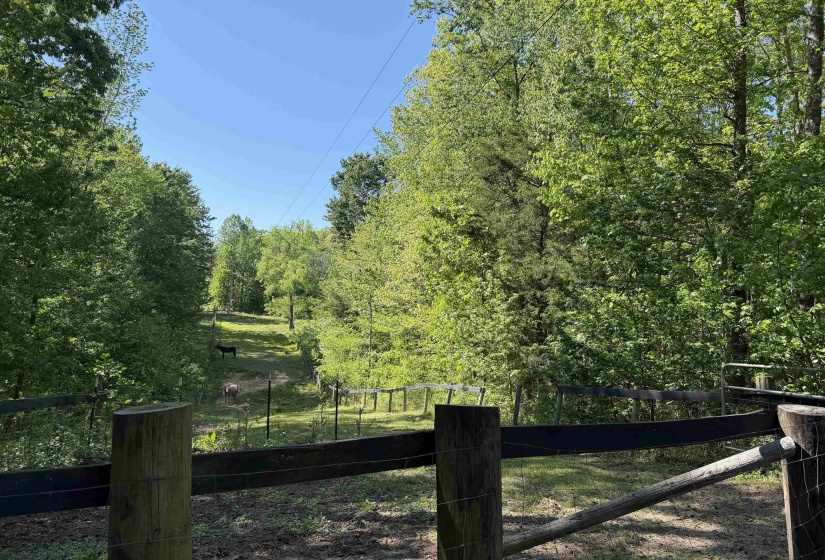 1212 ELVIN WEEKS RD, Bethel Springs, Tennessee 38315, 3 Bedrooms Bedrooms, 9 Rooms Rooms,2 BathroomsBathrooms,Residential,For Sale,ELVIN WEEKS,10219878