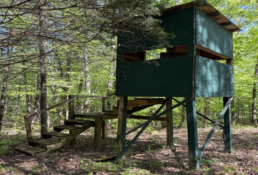 1212 ELVIN WEEKS RD, Bethel Springs, Tennessee 38315, 3 Bedrooms Bedrooms, 9 Rooms Rooms,2 BathroomsBathrooms,Residential,For Sale,ELVIN WEEKS,10219878