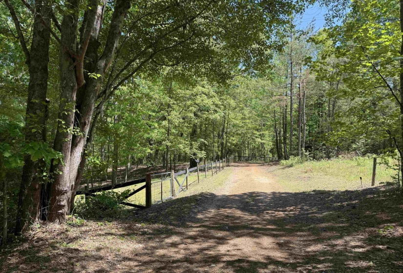 1212 ELVIN WEEKS RD, Bethel Springs, Tennessee 38315, 3 Bedrooms Bedrooms, 9 Rooms Rooms,2 BathroomsBathrooms,Residential,For Sale,ELVIN WEEKS,10219878