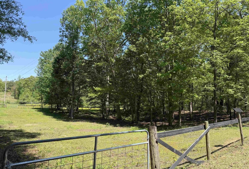 1212 ELVIN WEEKS RD, Bethel Springs, Tennessee 38315, 3 Bedrooms Bedrooms, 9 Rooms Rooms,2 BathroomsBathrooms,Residential,For Sale,ELVIN WEEKS,10219878