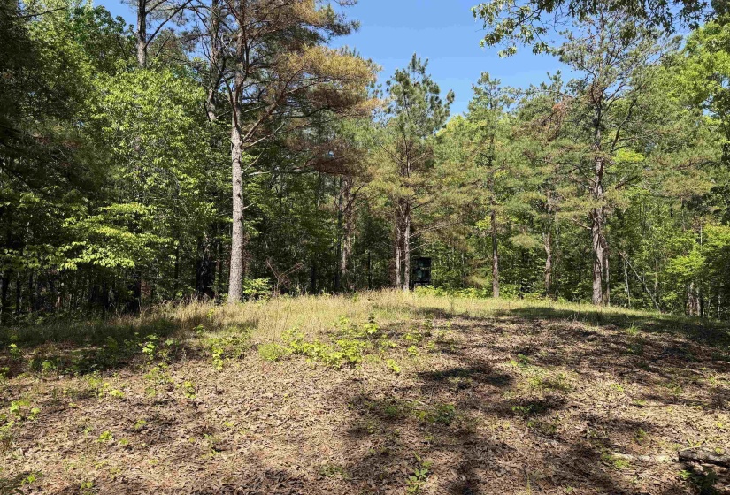 1212 ELVIN WEEKS RD, Bethel Springs, Tennessee 38315, 3 Bedrooms Bedrooms, 9 Rooms Rooms,2 BathroomsBathrooms,Residential,For Sale,ELVIN WEEKS,10219878