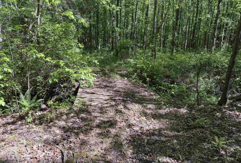 1212 ELVIN WEEKS RD, Bethel Springs, Tennessee 38315, 3 Bedrooms Bedrooms, 9 Rooms Rooms,2 BathroomsBathrooms,Residential,For Sale,ELVIN WEEKS,10219878