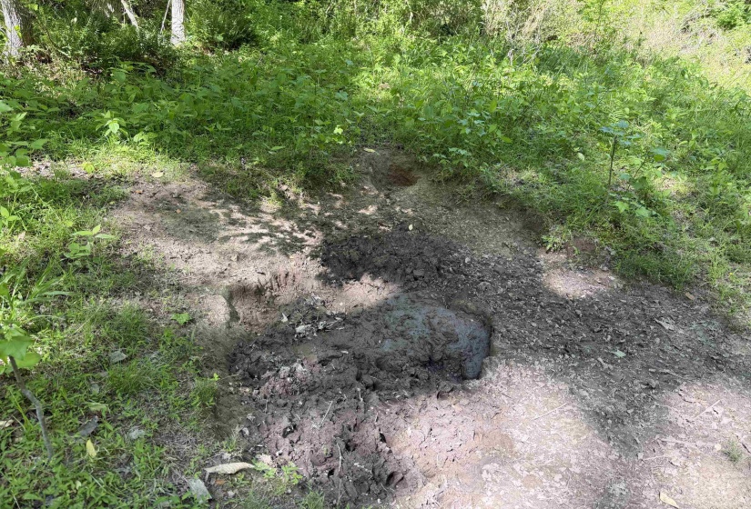 1212 ELVIN WEEKS RD, Bethel Springs, Tennessee 38315, 3 Bedrooms Bedrooms, 9 Rooms Rooms,2 BathroomsBathrooms,Residential,For Sale,ELVIN WEEKS,10219878