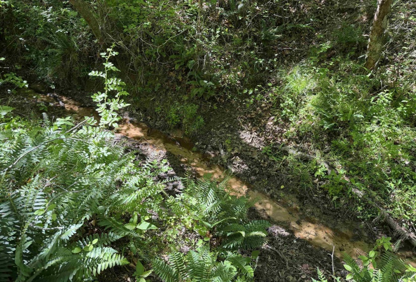 1212 ELVIN WEEKS RD, Bethel Springs, Tennessee 38315, 3 Bedrooms Bedrooms, 9 Rooms Rooms,2 BathroomsBathrooms,Residential,For Sale,ELVIN WEEKS,10219878