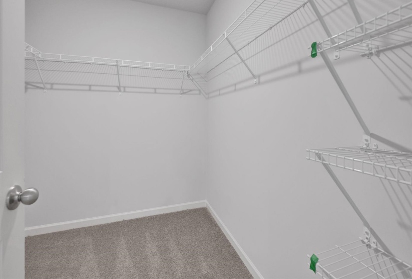 Walk-in closet featuring light gray carpeting, white wire shelving, and a white baseboard trim