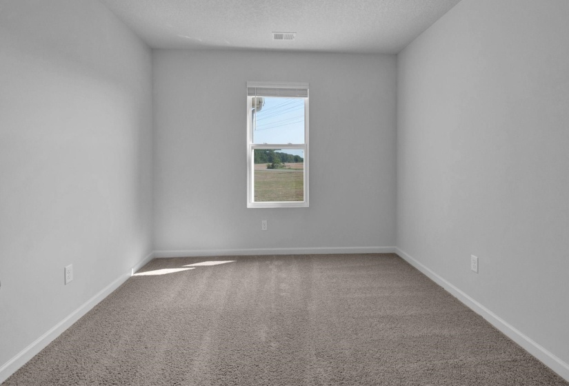 Neutral gray wall paint and textured carpeting