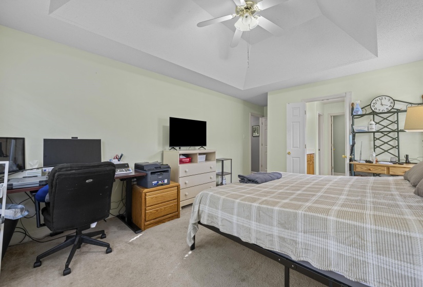 Carpeted room featuring a tray ceiling with a ceiling fan, light green walls, and white trim