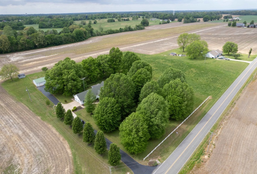Expansive property featuring a single-story residence with a green roof, surrounded by mature trees