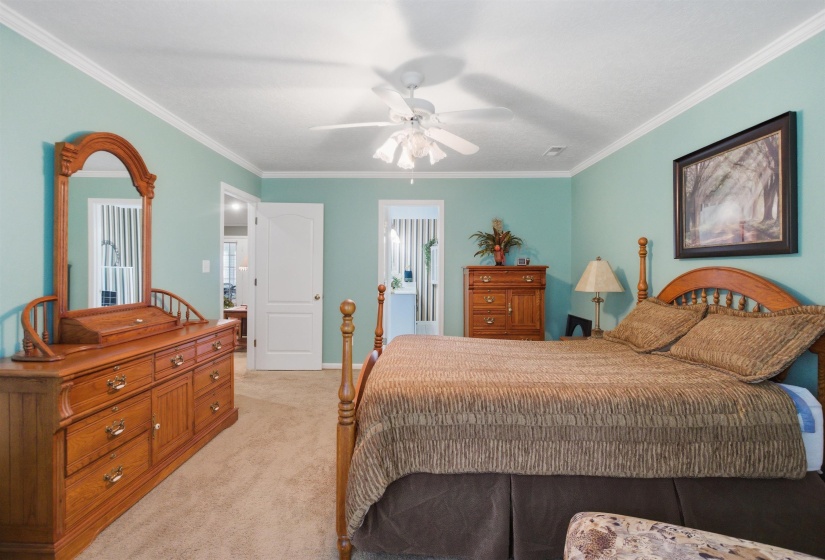 Carpeted room featuring light blue walls, white trim, a ceiling fan, and two interior doorways