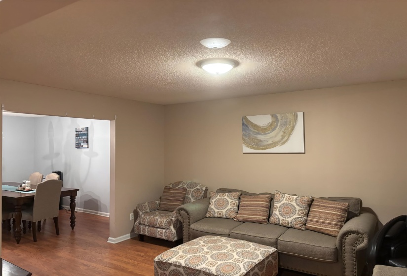 Living area with wood-finish flooring, neutral wall paint, and two ceiling-mounted light fixtures