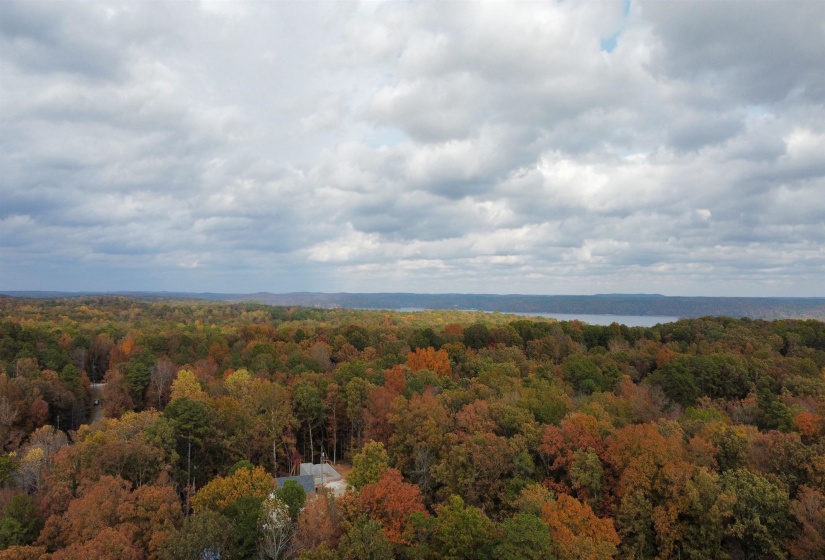 Drone / aerial view of a forest and a nearby body of water