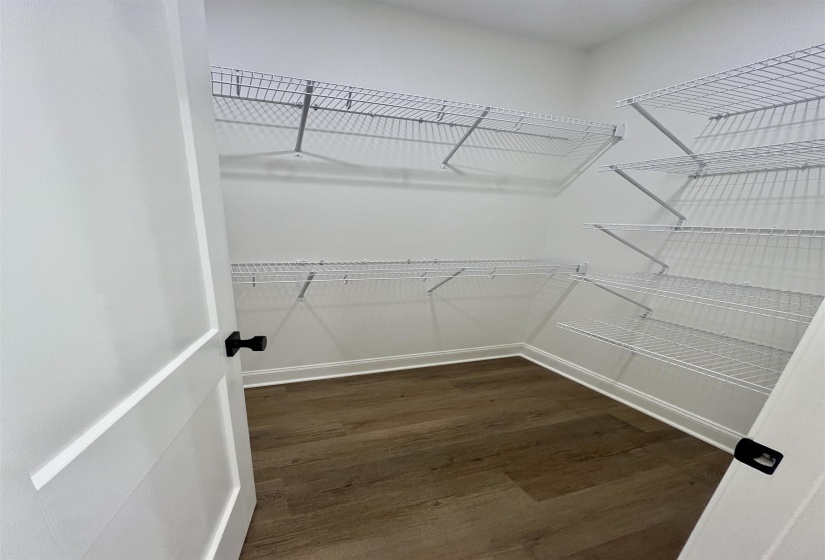 Walk in closet featuring dark wood-type flooring