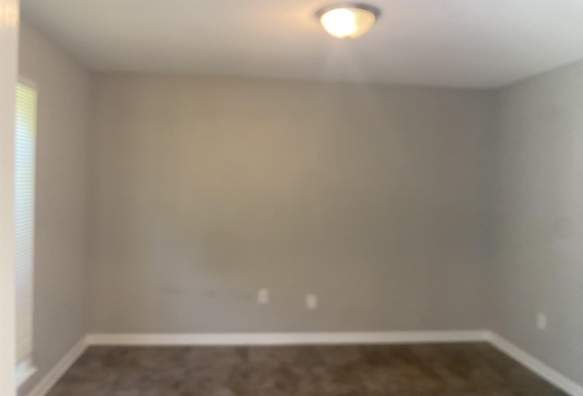 Image quality insufficient for description