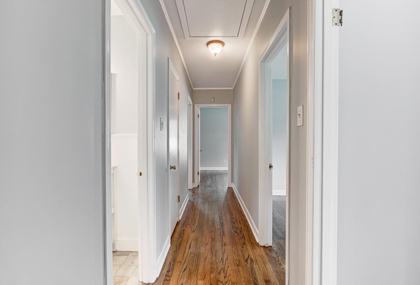 Long hallway featuring wood-finish flooring, light gray walls, and multiple white doors