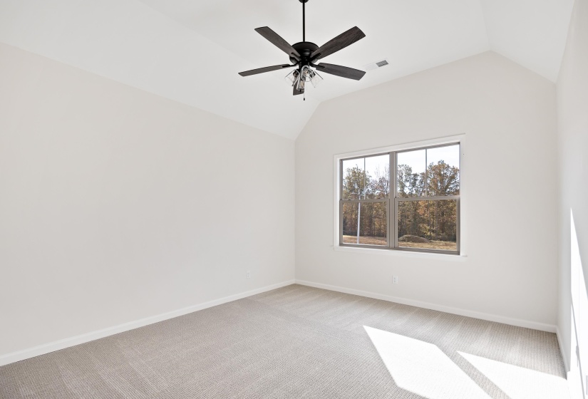 Unfurnished room with light colored carpet, lofted ceiling, and ceiling fan