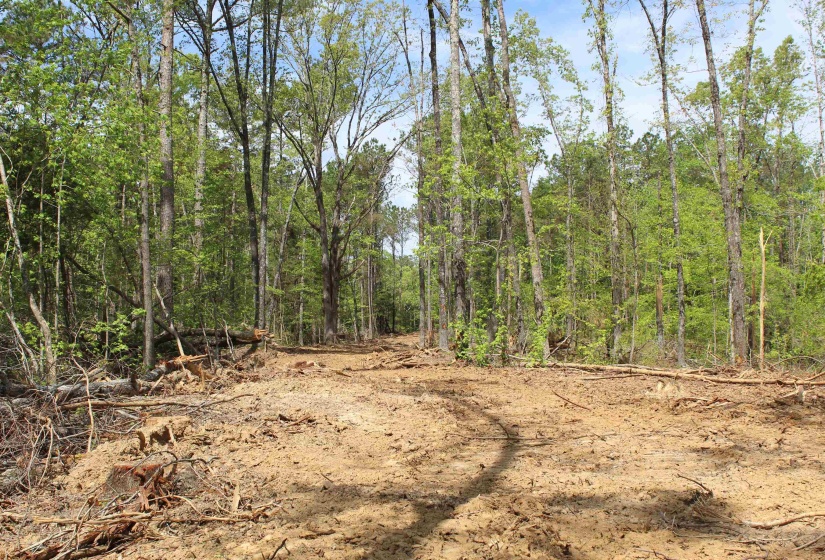 000 MARONEY LN, Medon, Tennessee 38356, ,Land,For Sale,MARONEY,10219999