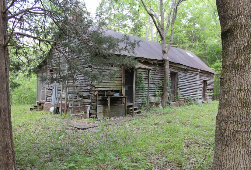 000 MARONEY LN, Medon, Tennessee 38356, ,Land,For Sale,MARONEY,10219999