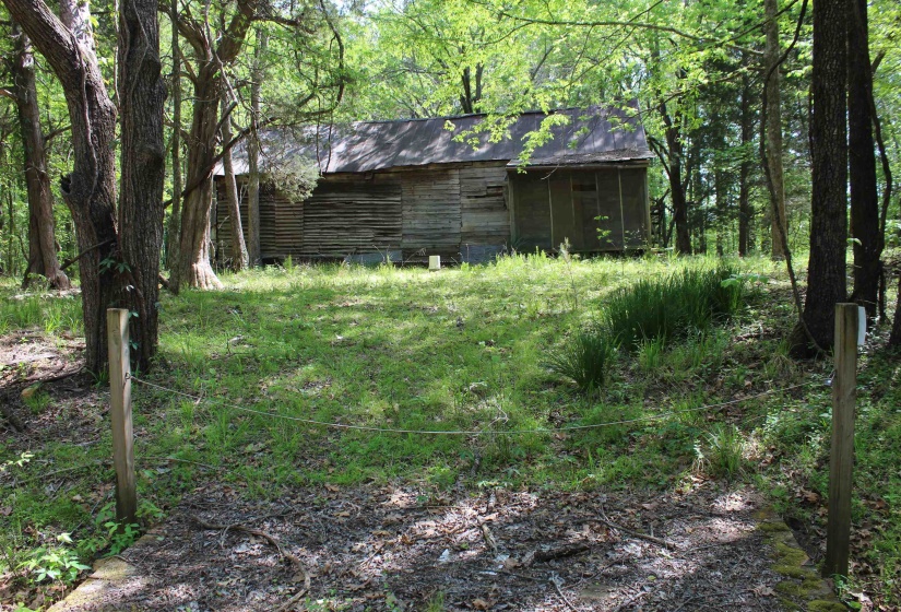 000 MARONEY LN, Medon, Tennessee 38356, ,Land,For Sale,MARONEY,10219999