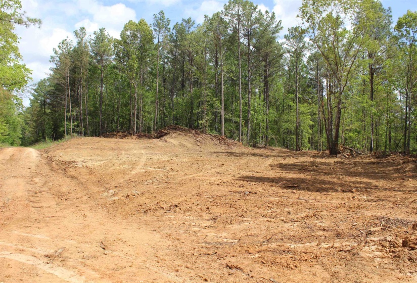 000 MARONEY LN, Medon, Tennessee 38356, ,Land,For Sale,MARONEY,10219999