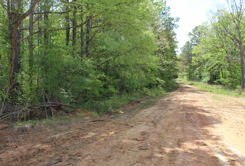 000 MARONEY LN, Medon, Tennessee 38356, ,Land,For Sale,MARONEY,10219999