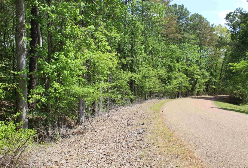 000 MARONEY LN, Medon, Tennessee 38356, ,Land,For Sale,MARONEY,10219999
