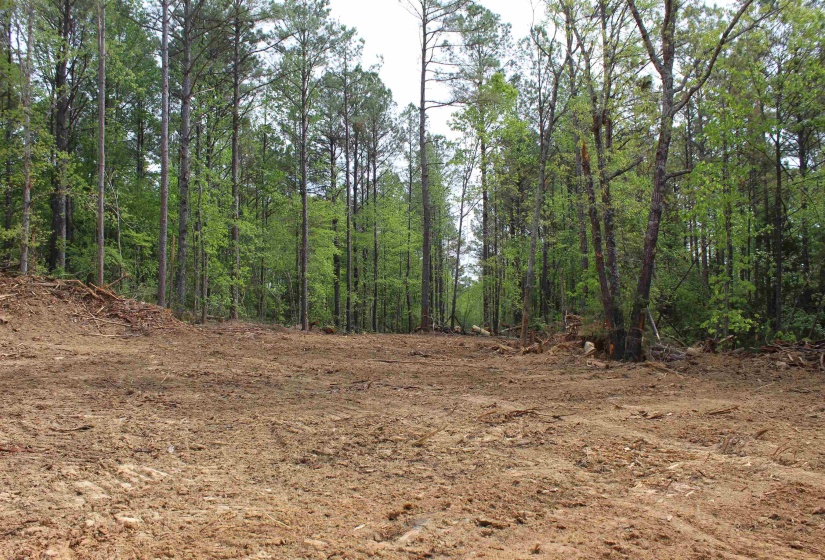 000 MARONEY LN, Medon, Tennessee 38356, ,Land,For Sale,MARONEY,10219999