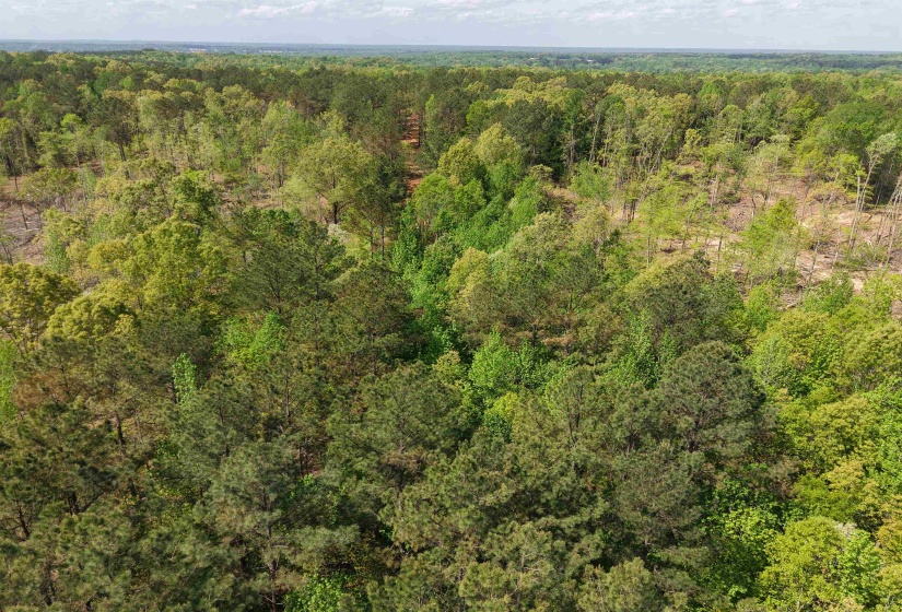 000 MARONEY LN, Medon, Tennessee 38356, ,Land,For Sale,MARONEY,10219999