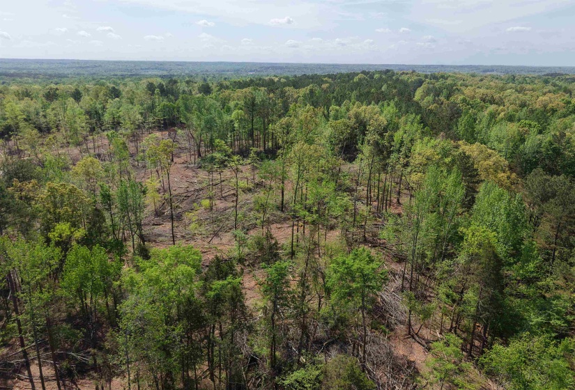 000 MARONEY LN, Medon, Tennessee 38356, ,Land,For Sale,MARONEY,10219999