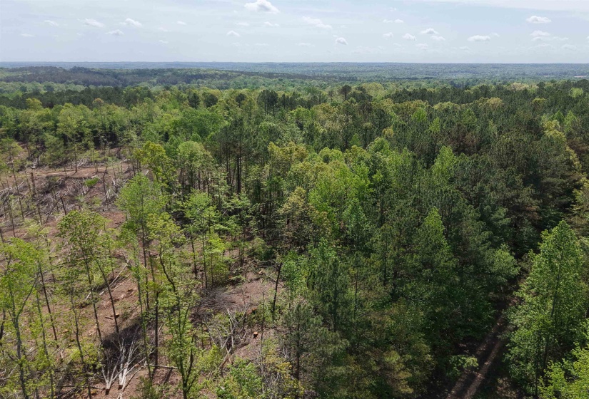 000 MARONEY LN, Medon, Tennessee 38356, ,Land,For Sale,MARONEY,10219999