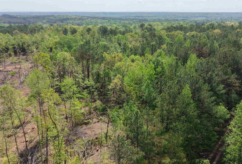 000 MARONEY LN, Medon, Tennessee 38356, ,Land,For Sale,MARONEY,10219999