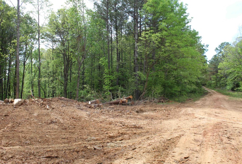 000 MARONEY LN, Medon, Tennessee 38356, ,Land,For Sale,MARONEY,10219999