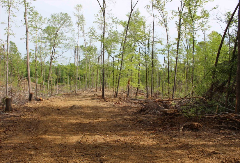 000 MARONEY LN, Medon, Tennessee 38356, ,Land,For Sale,MARONEY,10219999