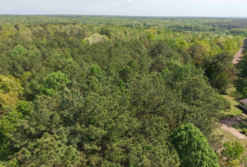 000 MARONEY LN, Medon, Tennessee 38356, ,Land,For Sale,MARONEY,10219999