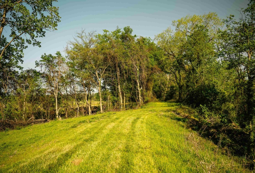 1229 TAR HILL RD, Dyersburg, Tennessee 38024, ,Land,For Sale,TAR HILL,10220002