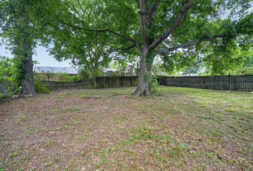 View of fenced backyard