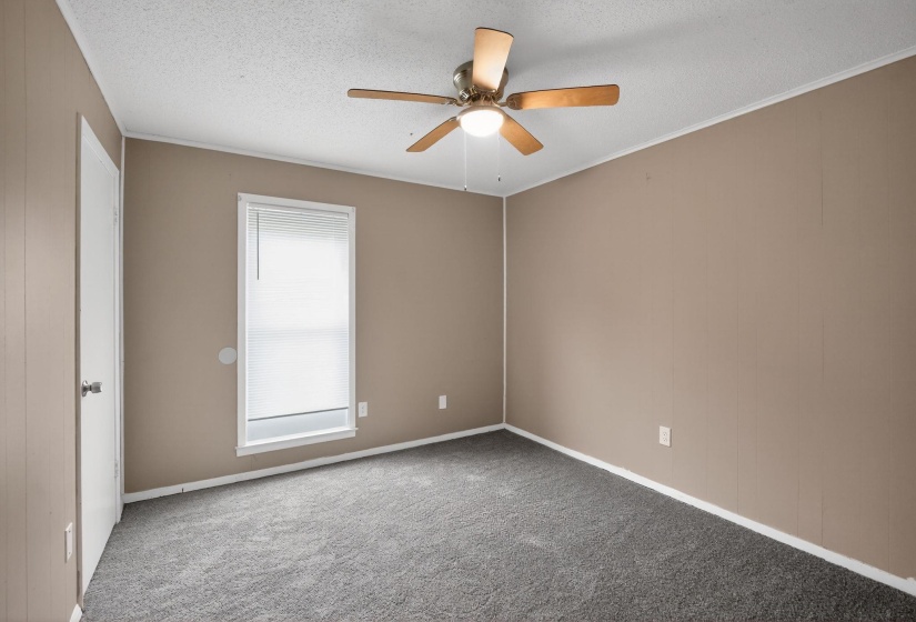 Empty room with carpet flooring, a textured ceiling, a ceiling fan, and ornamental molding