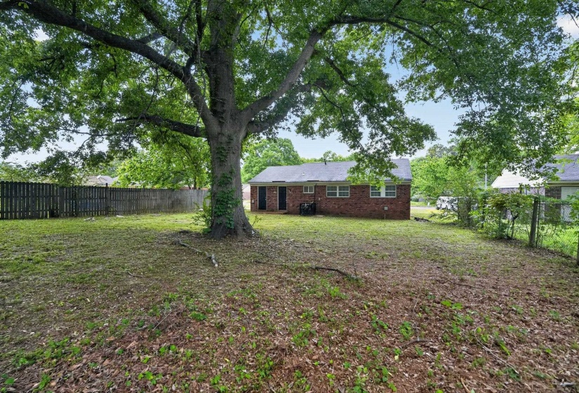 View of fenced backyard